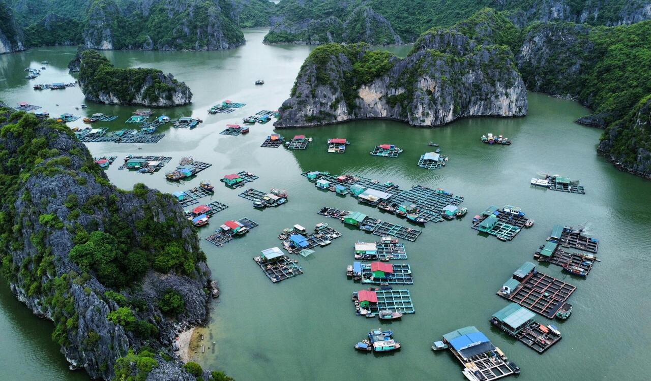 Aerial View of Floating Villages in Hai Phong, Vietnam