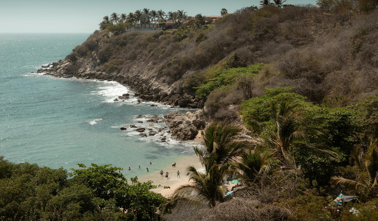 A beach with a rocky shore and trees