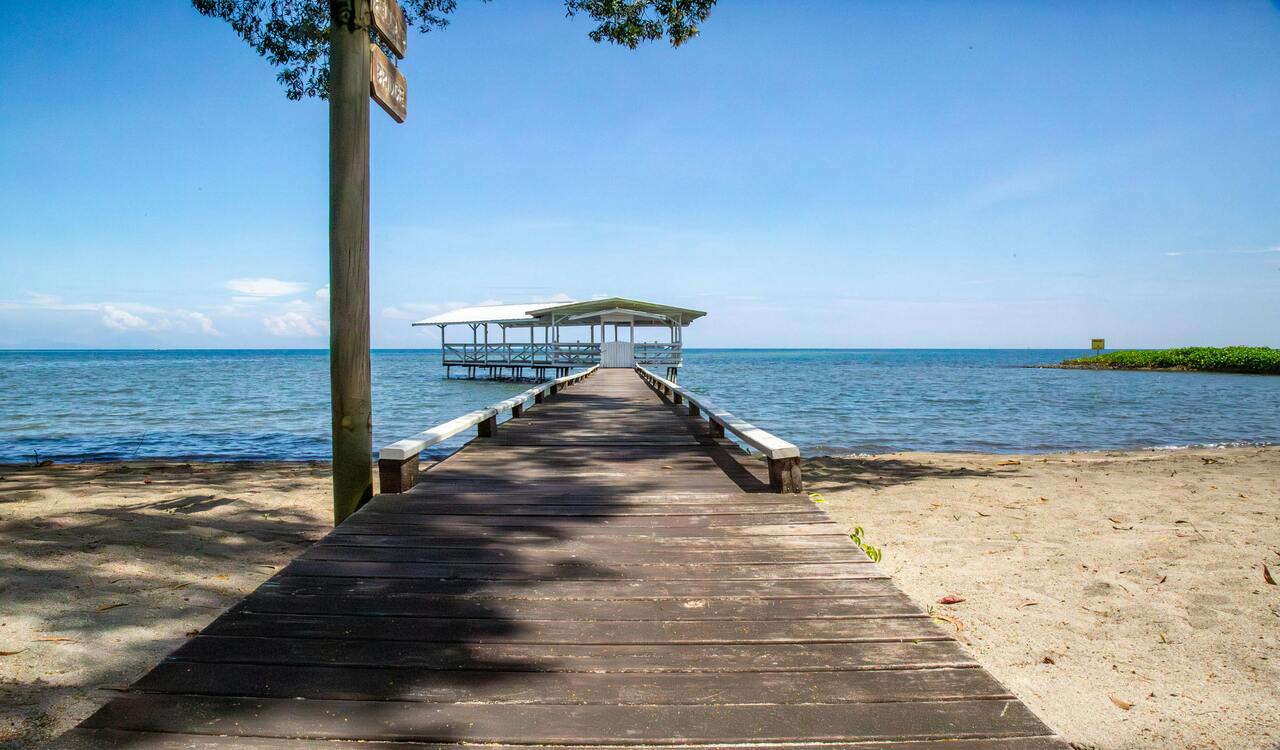 Scenic Beach Pier Extending into Clear Blue Ocean