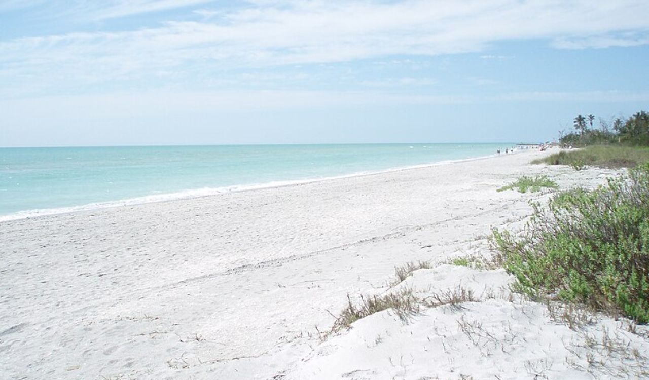 Sanibel Island – Shelling & Wildlife Bliss