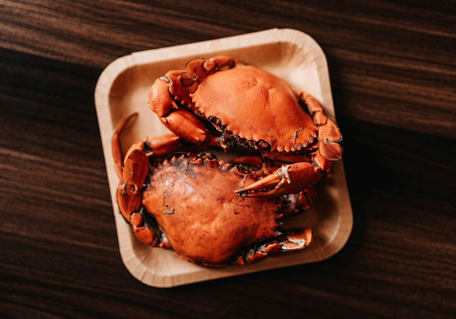 Two cooked crabs sit on a square disposable plate atop a dark wooden surface.