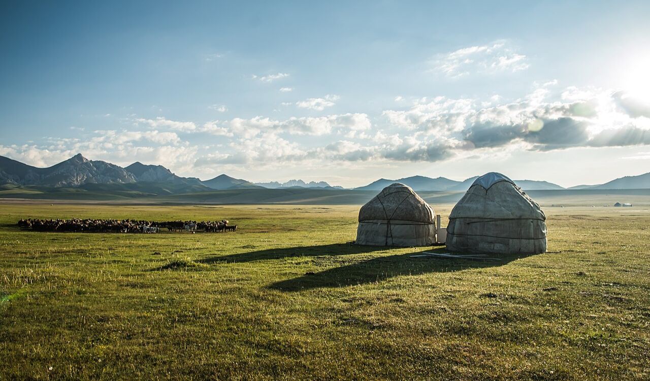 Experience nomadic life under Mongolian skies