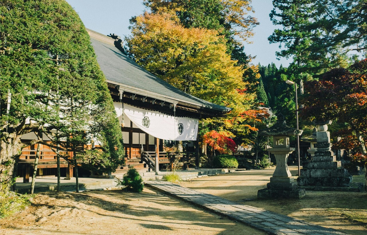 A traditional Japanese temple with white banners stands among autumn trees beside a stone lantern and gravel path under a clear sky.