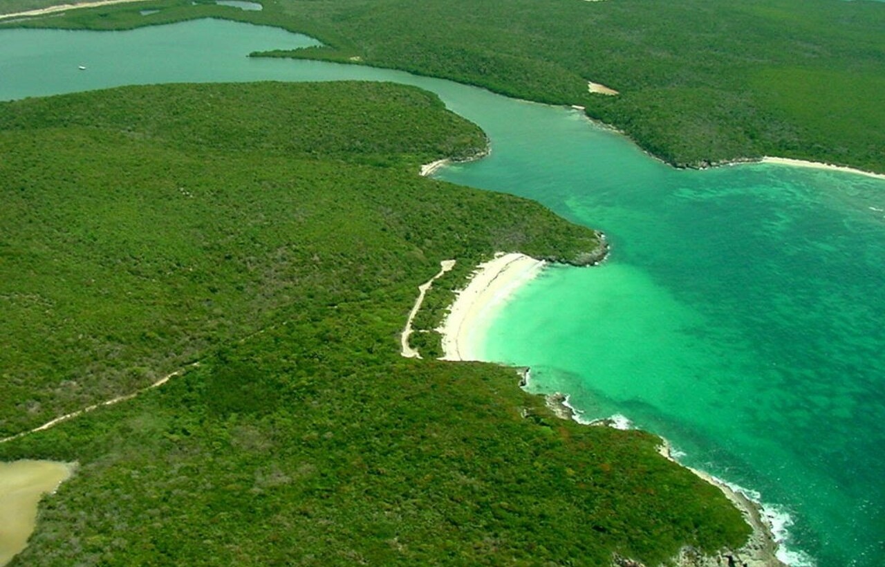 Aerial view of green coastline and turquoise waters in Vieques, Puerto Rico.