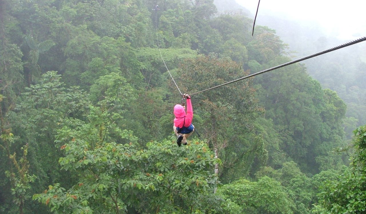 Soar above lush Puerto Rican rainforest