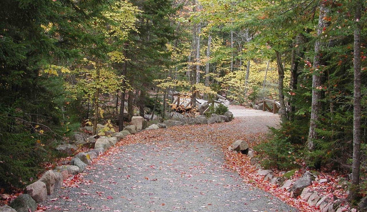 Peaceful forest trail in Acadia National Park, Maine, lined with colorful autumn leaves, stone borders, and surrounded by vibrant fall foliage.