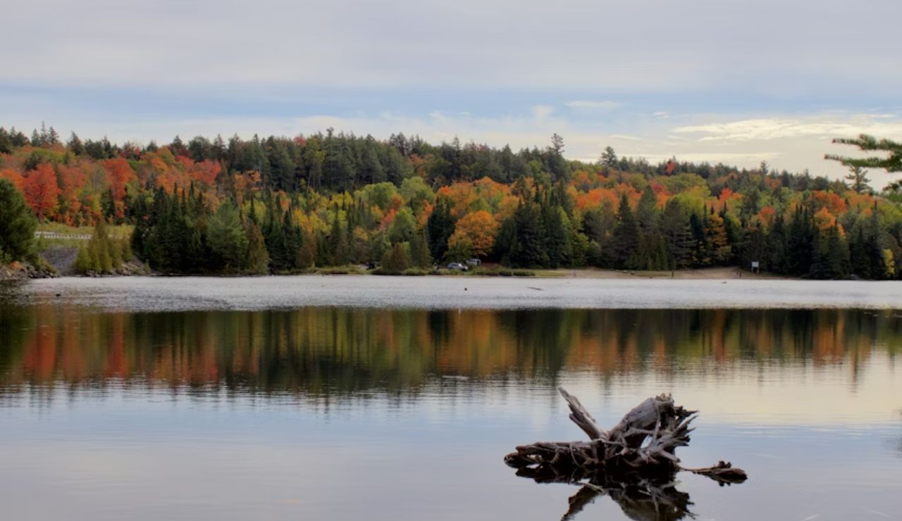 Colorful autumn trees reflected in the calm waters of a lake in Algonquin Provincial Park, Ontario, Canada.