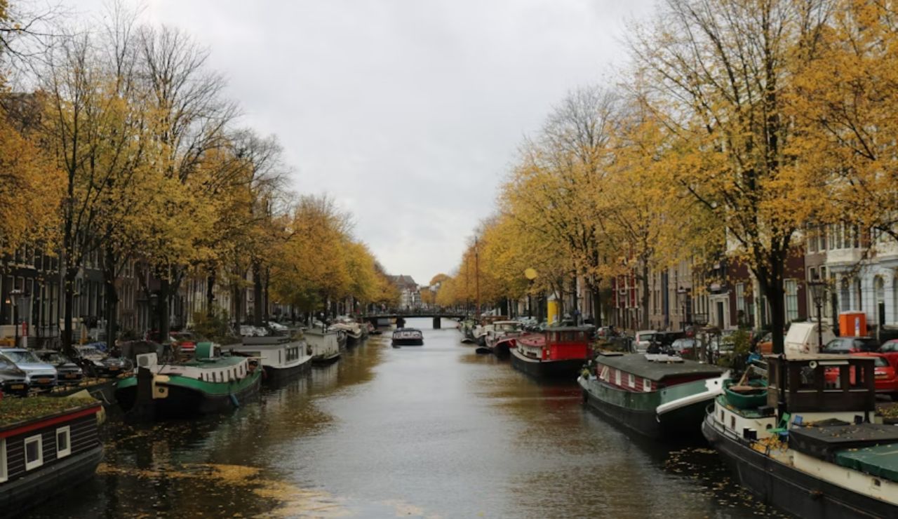 Autumn view of a canal in Amsterdam, Netherlands, with houseboats docked along tree-lined streets and golden leaves reflecting in the water.