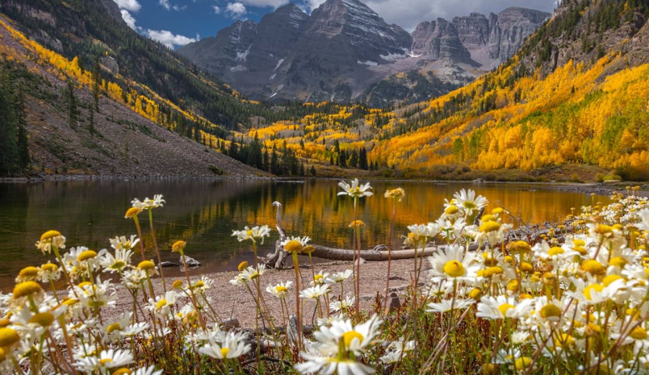 Scenic view of Maroon Bells mountains in Colorado with wildflowers in the foreground, golden aspen trees on the slopes, and a calm alpine lake reflecting fall colors.