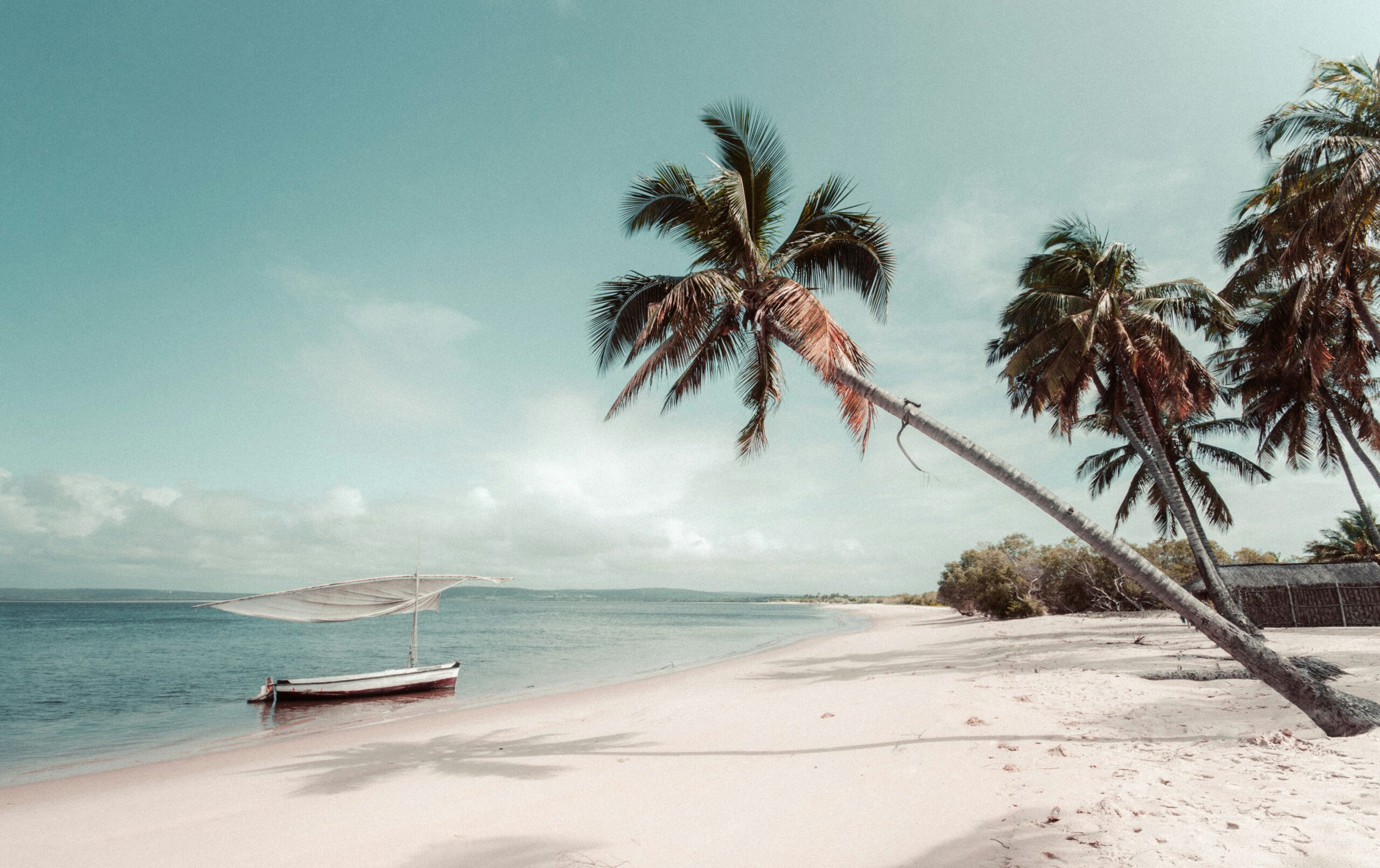 A small canopied boat is anchored near a palm-lined sandy beach under a clear sky.