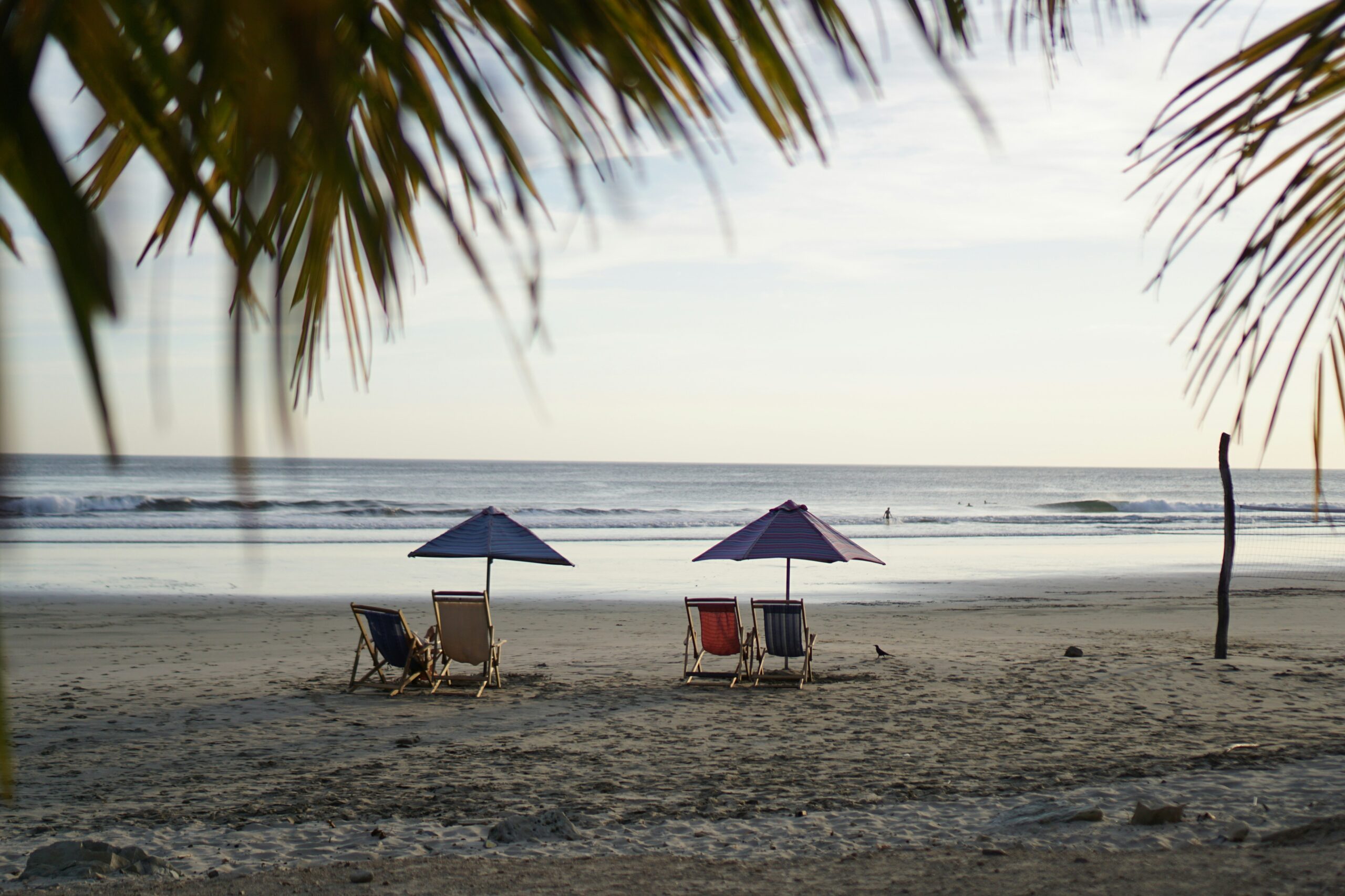 Four beach chairs and two umbrellas are arranged on a sandy beach near the shore, framed by palm fronds with the ocean in the background.