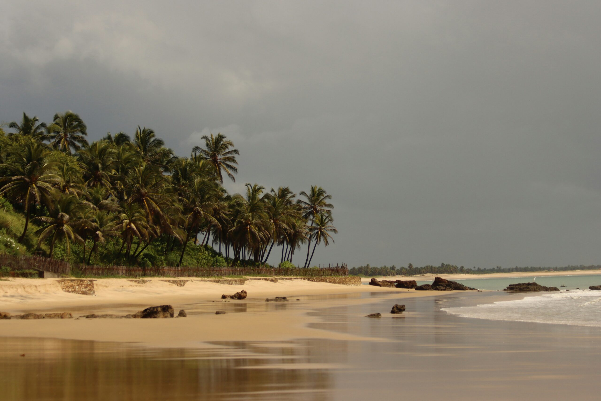 A sandy beach with palm trees, scattered rocks, and gentle waves under a cloudy sky.