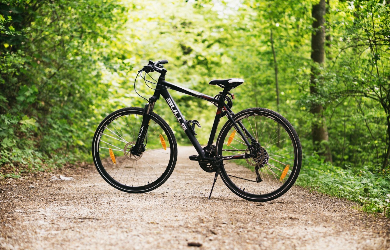 Black bicycle parked on a gravel trail in a lush forest.