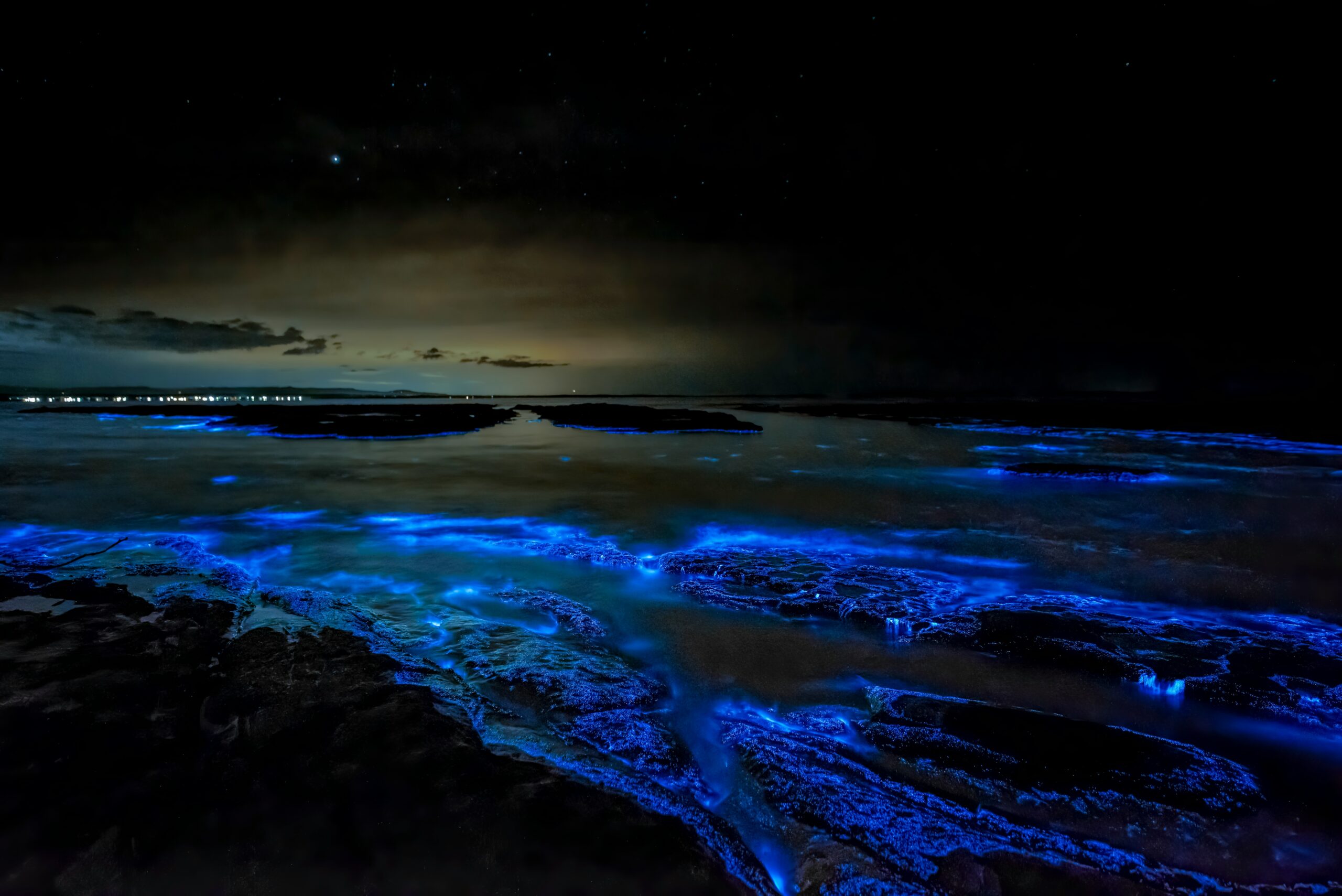 12 Bioluminescent Bays for a Natural Light Show by Kayak