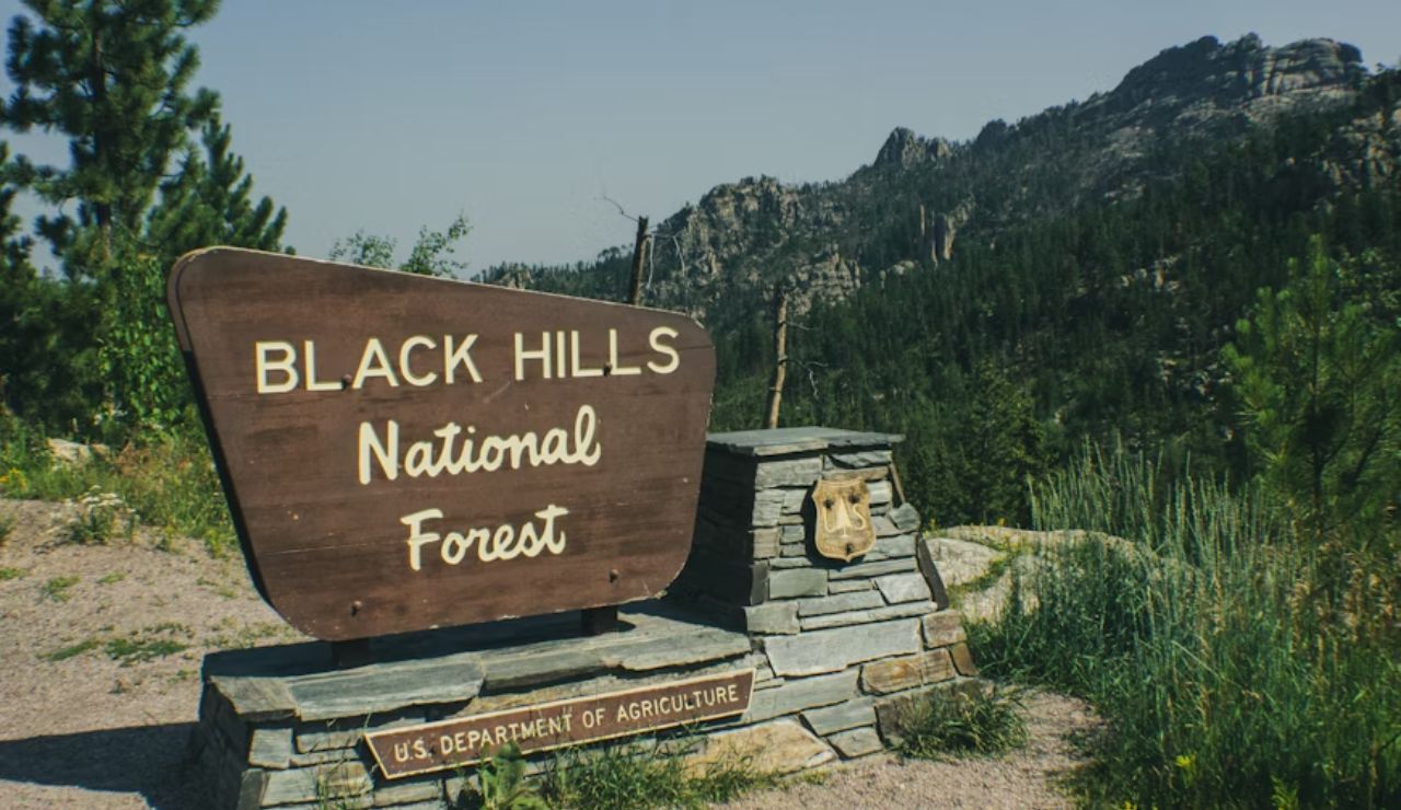 Entrance sign for Black Hills National Forest in South Dakota, surrounded by pine trees and rugged mountain scenery.