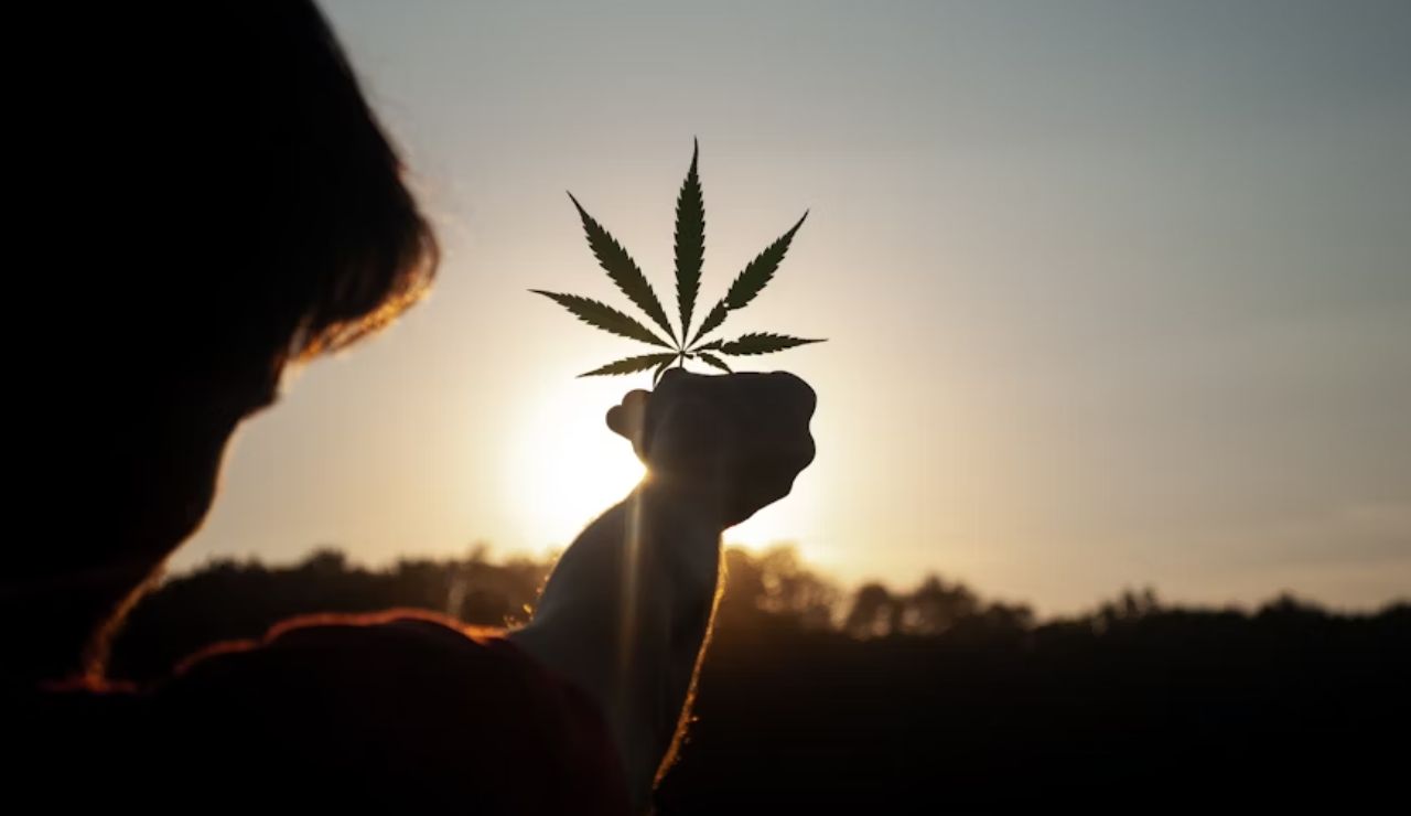Silhouette of person holding cannabis leaf against sunset sky.