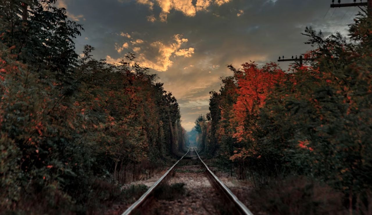 Railroad tracks lined with autumn trees at sunset on the Cass Scenic Railroad in West Virginia.