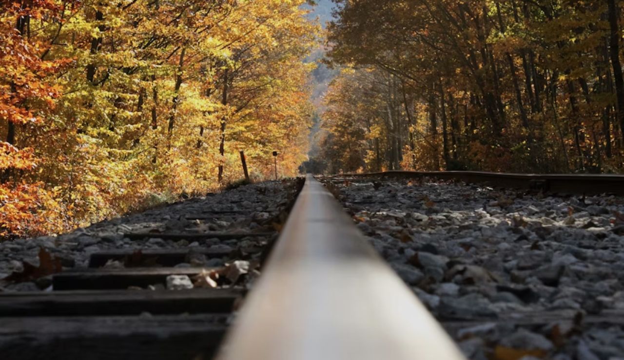 Close-up of railroad tracks surrounded by vibrant fall foliage on the Catskill Mountain Railroad in New York.