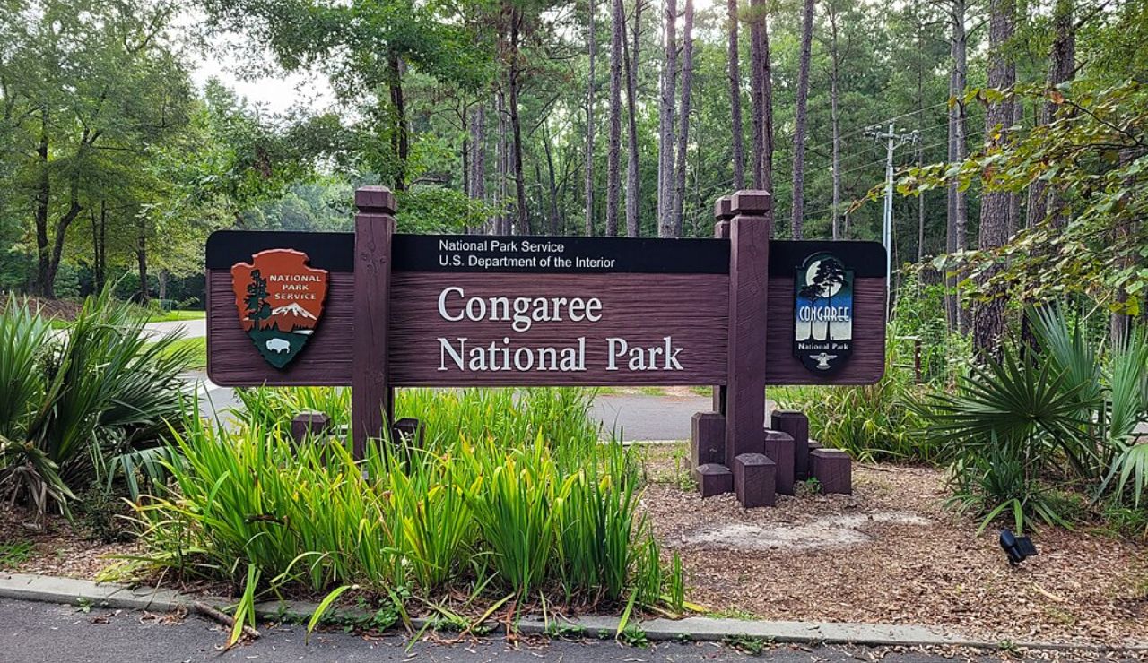 Entrance sign for Congaree National Park surrounded by forest in South Carolina.