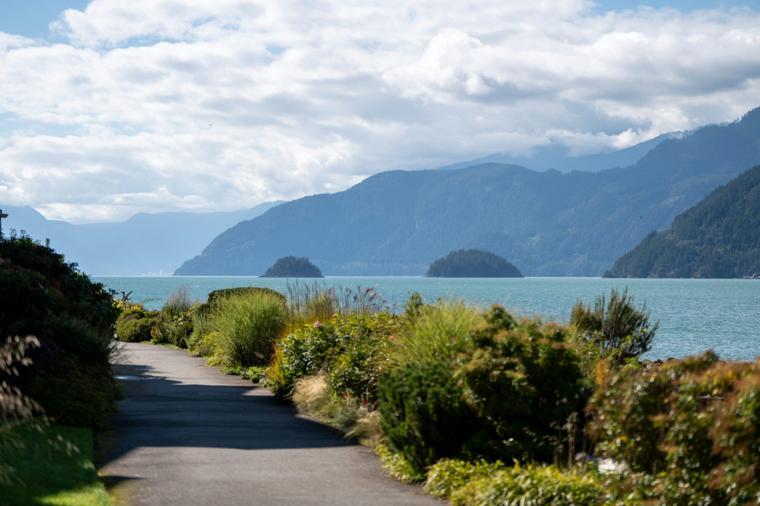 Coromandel Peninsula Drive, New Zealand