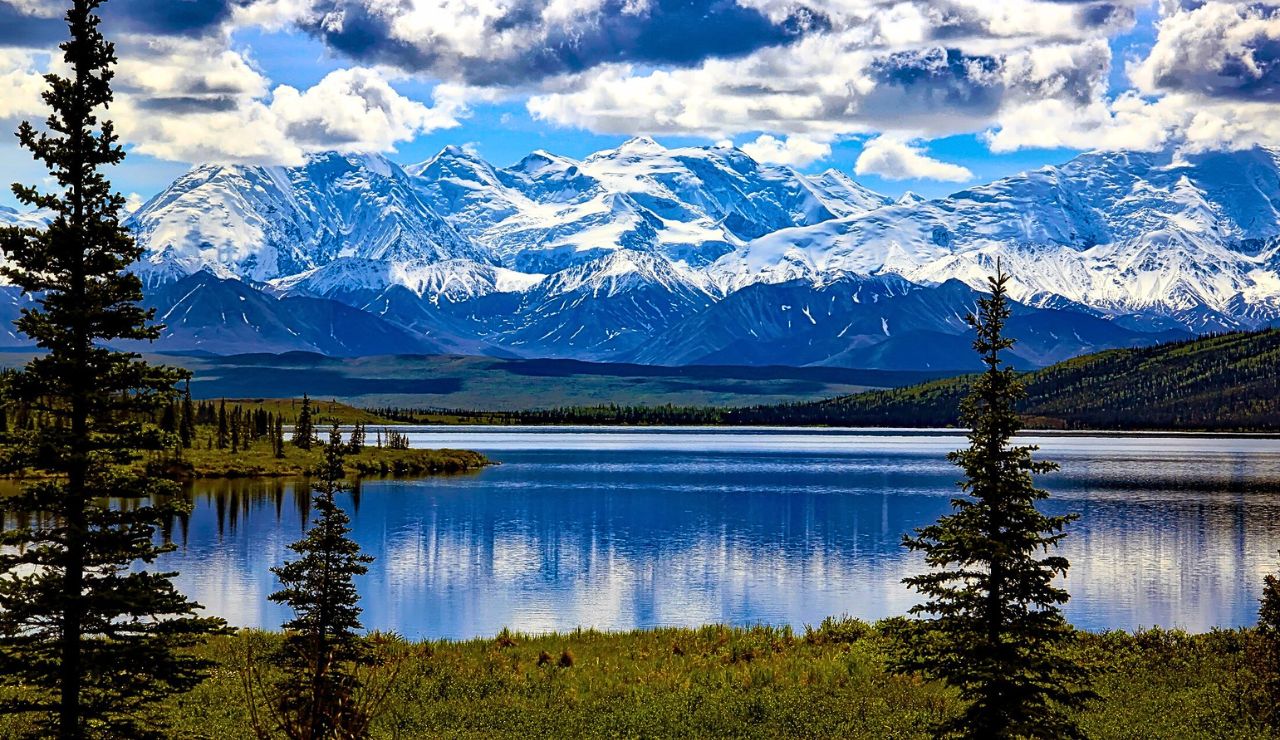 A wide view of Denali’s peak rising above rolling tundra, with a moose or caribou visible in the foreground.