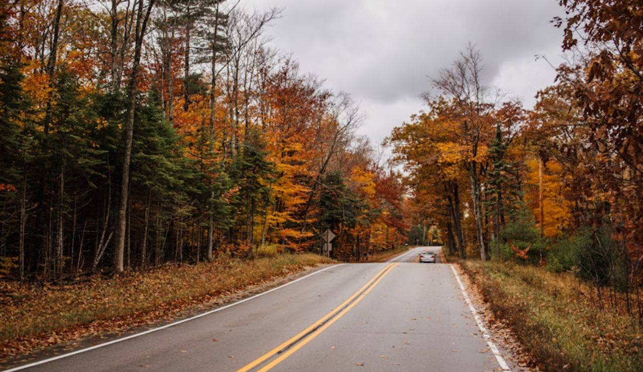 Two-lane road winding through a forest with vibrant fall foliage and overcast skies, featuring a car driving through the autumn landscape.