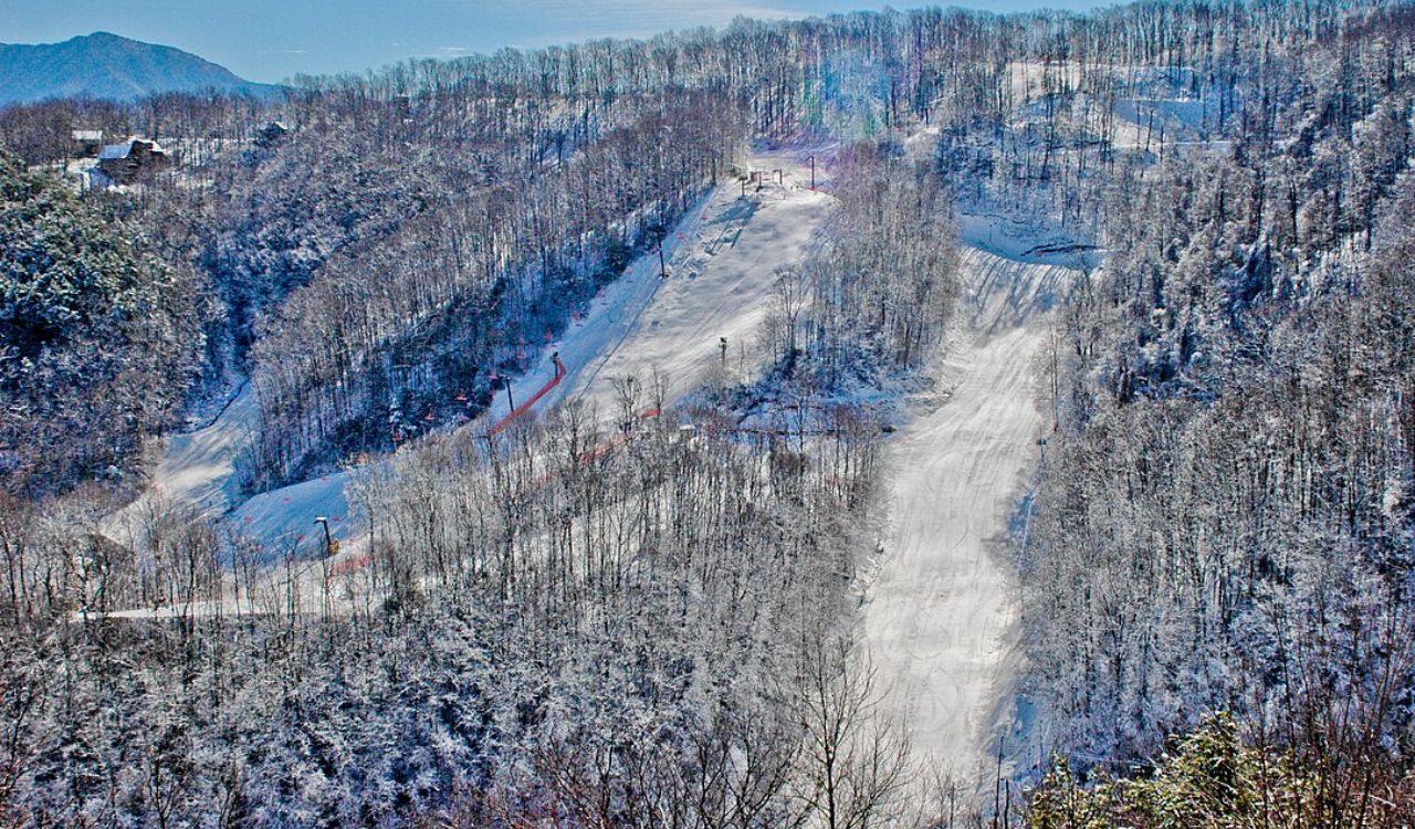 Snow-covered slopes weave through a quiet forest, creating a peaceful winter scene perfect for skiing and mountain views.