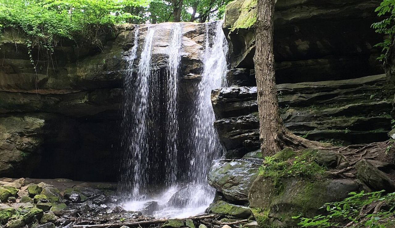 A tranquil waterfall spills gently over a rocky ledge into a shaded pool below, surrounded by moss-covered stones and dense greenery.