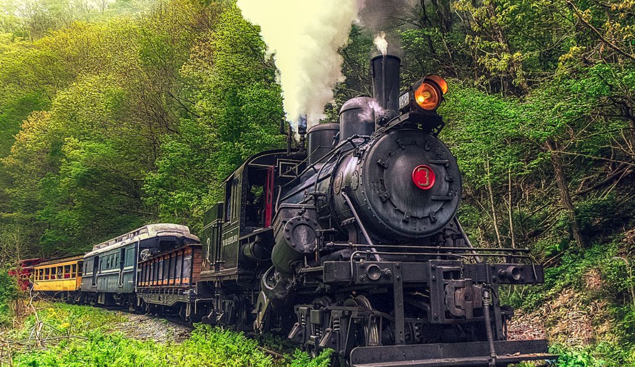 Steam locomotive of the Durbin & Greenbrier Valley Railroad traveling through forest near Elkins, West Virginia.