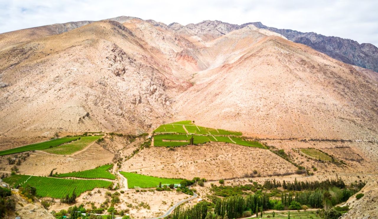 Lush green vineyards nestled in the arid, golden hills of Elqui Valley, Chile, with dramatic mountains in the background under a partly cloudy sky.