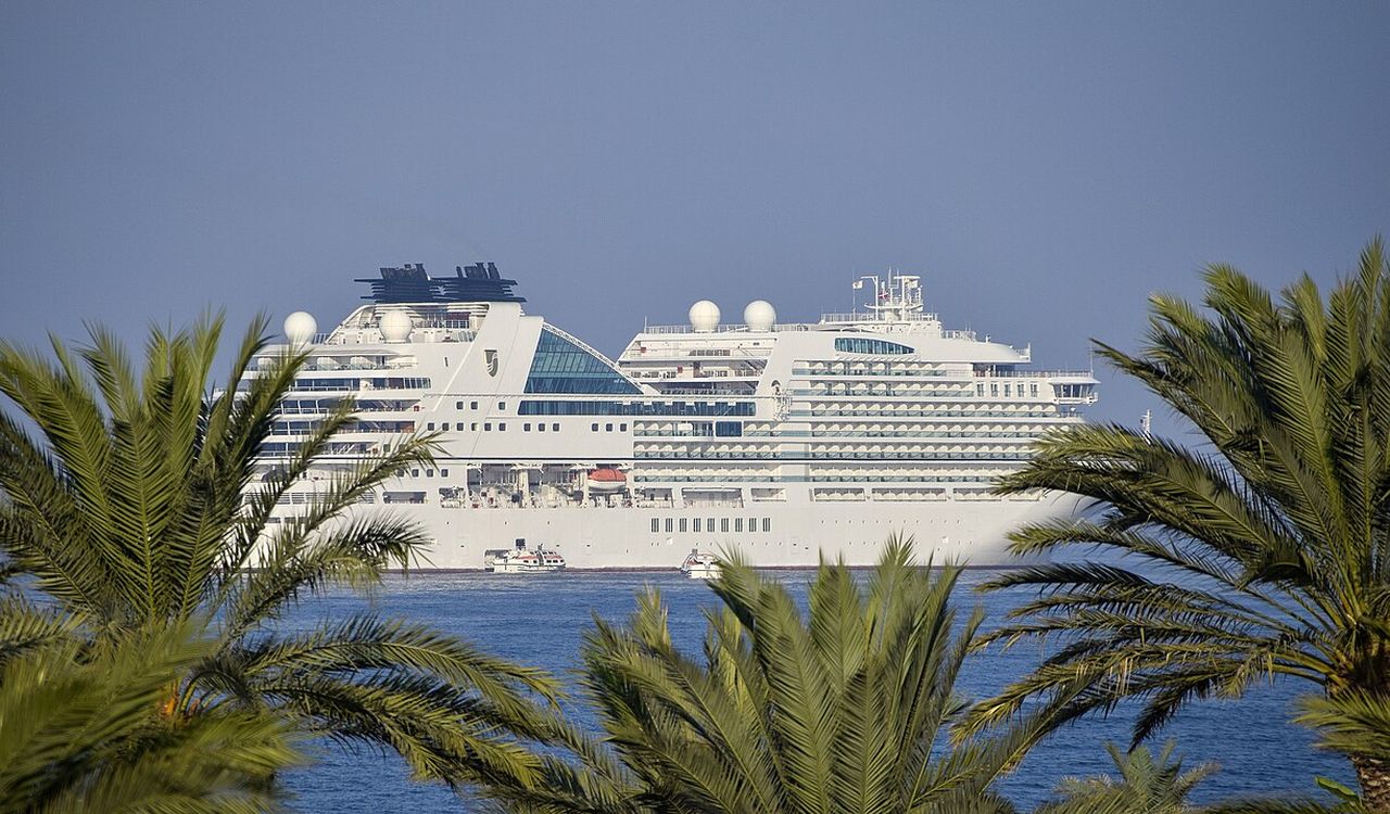 A luxury cruise ship sails past tropical palms on calm blue waters.