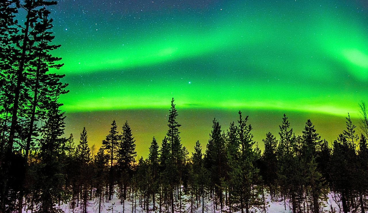 Green aurora borealis lights twist above a snow-covered evergreen forest.