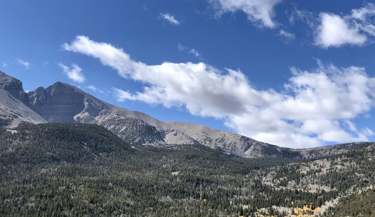 Mountain peaks and forested slopes under a blue sky at Great Basin National Park, Nevada.