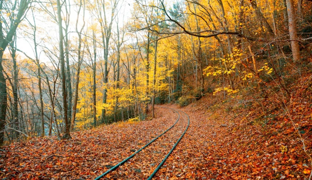 Narrow train tracks winding through vibrant autumn forest in Great Smoky Mountains, Tennessee.