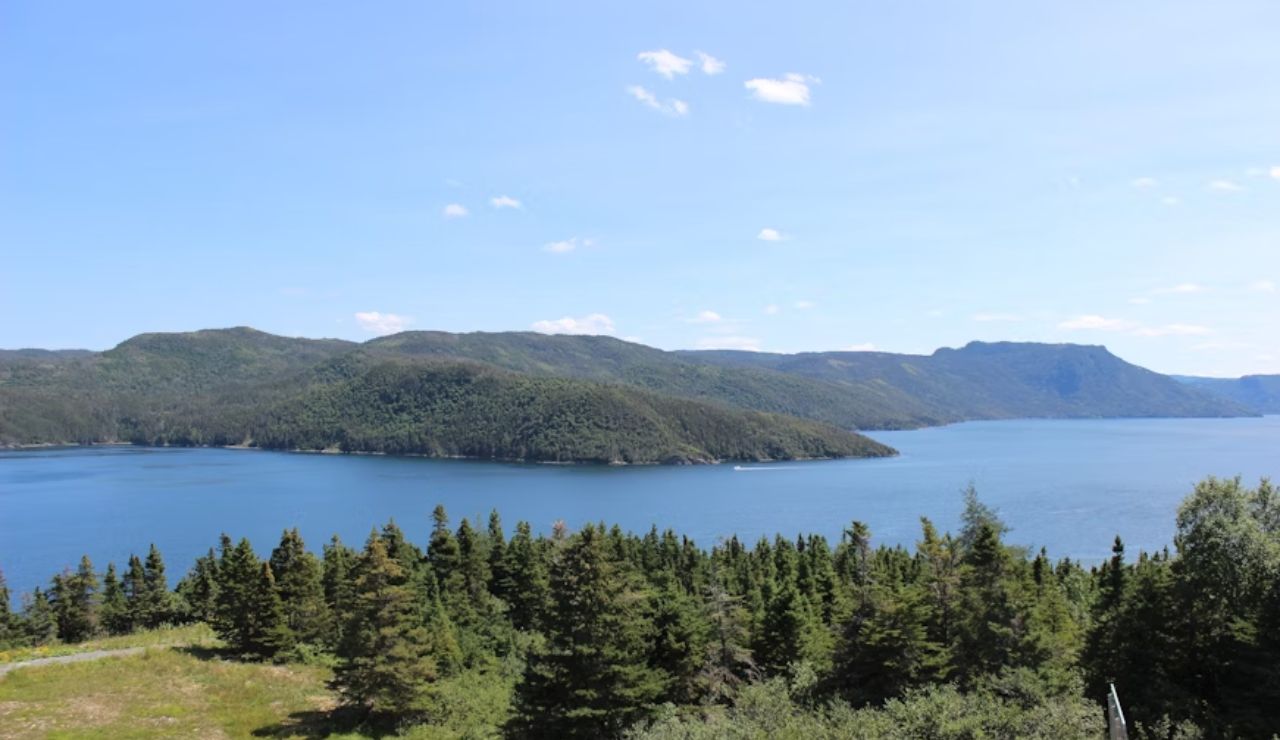 Scenic view of forested hills and deep blue waters in Gros Morne National Park, Newfoundland and Labrador, Canada, under a clear sky.