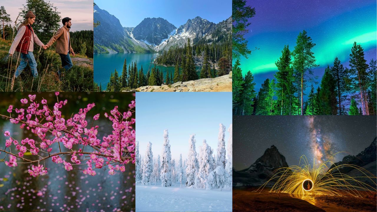 Multiple lake views surrounding forest and clear sky.