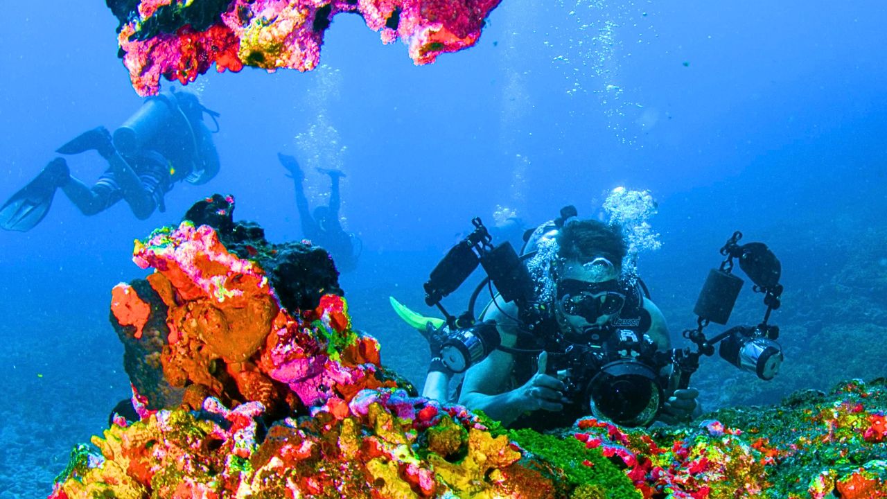 A snorkeler swimming through a lake in Indonesia