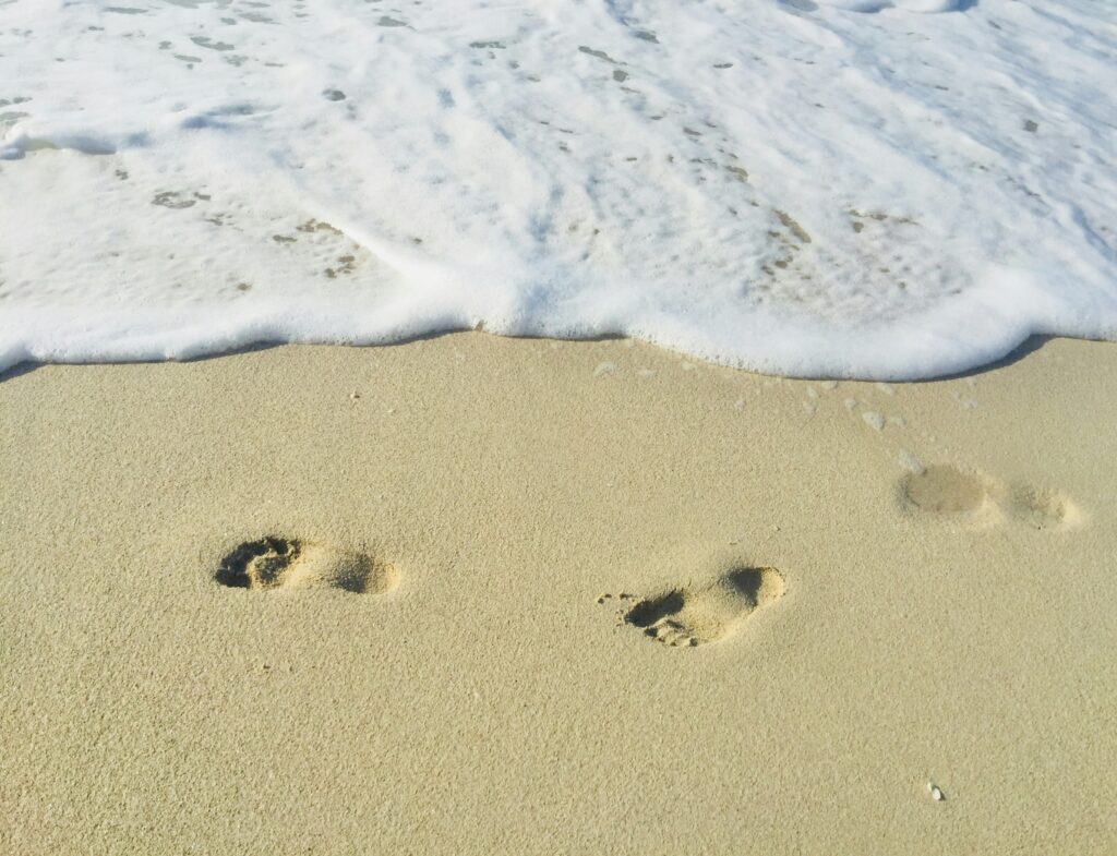 9. Follow Leave No Trace Principles