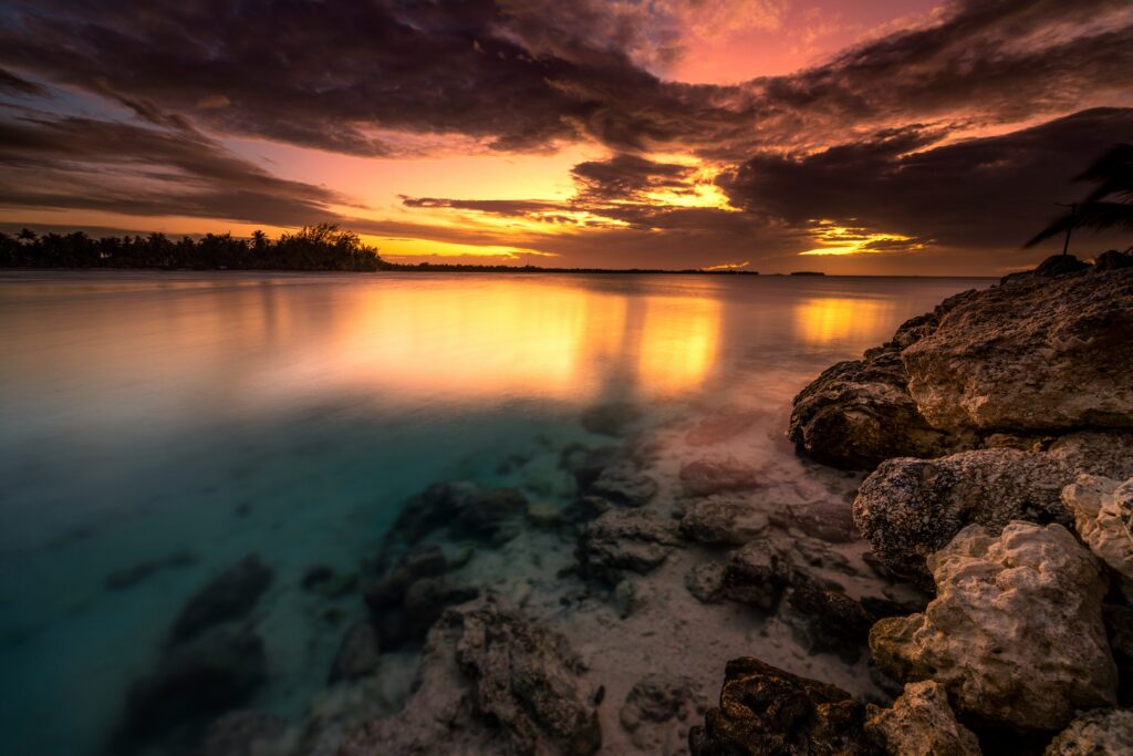 Luminous Lagoon, Jamaica