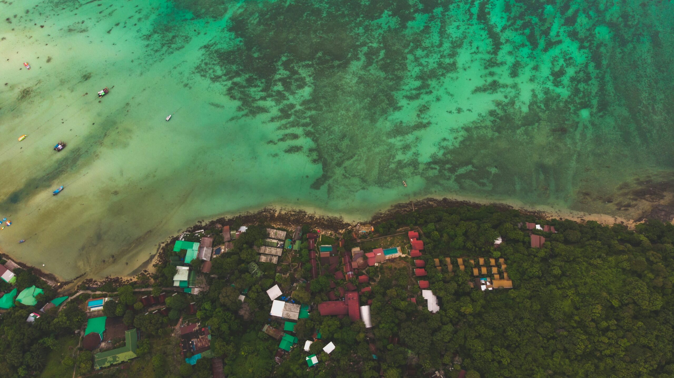 Mosquito Bay, Vieques, Puerto Rico