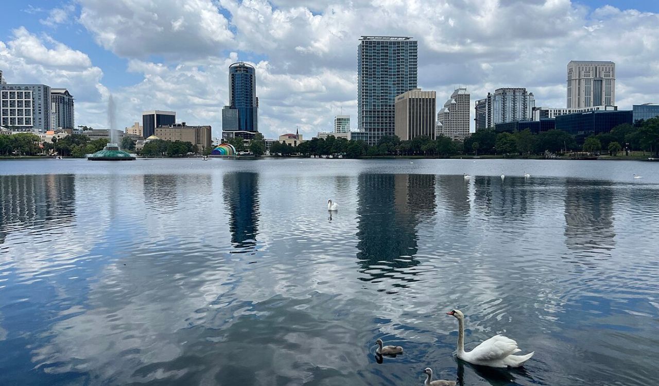 A calm lake reflects city skyscrapers and a cloudy sky, while swans glide peacefully across the water in the foreground.