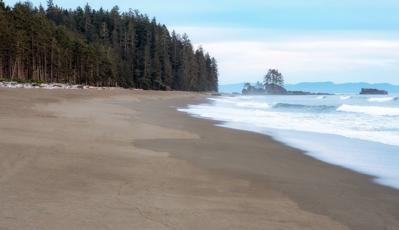 Sandy beach and coastal forest in Pacific Rim National Park Reserve, BC.