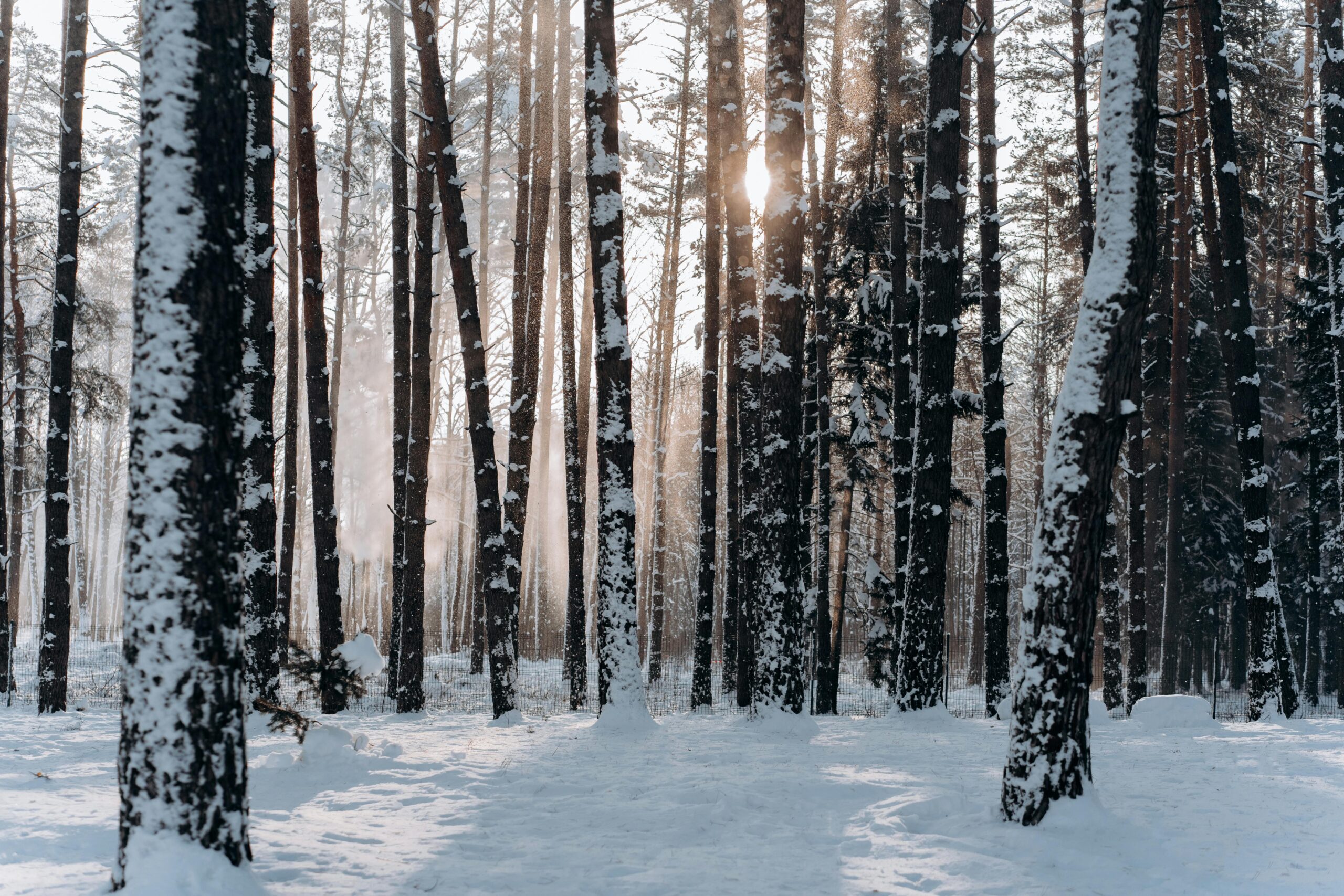 Poliʻahu, the Snow Goddess