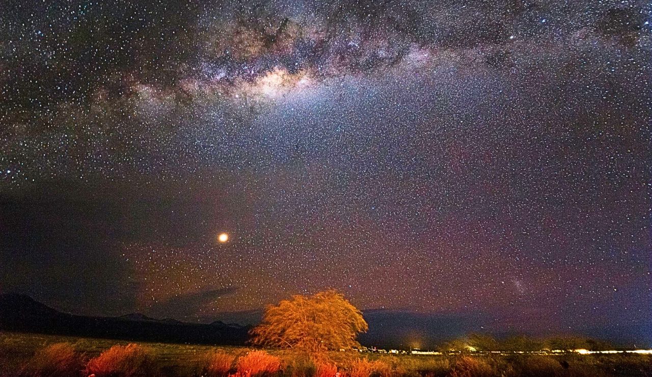 A star-filled night sky with the Milky Way and a bright planet stretches above a lone tree on the horizon.