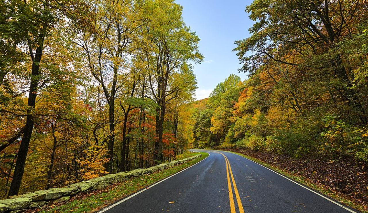Scenic fall drive along Skyline Drive in Shenandoah National Park, Virginia, with vibrant autumn foliage, a winding road, and a stone guardrail.