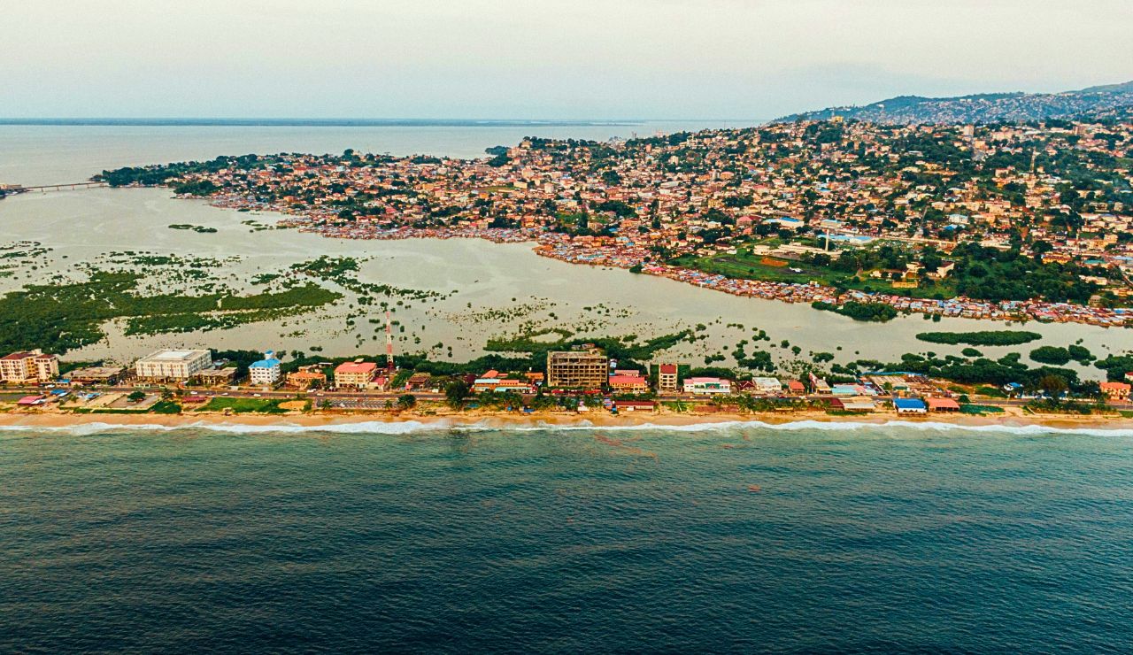 oastal scene with palm trees and ocean near Freetown.