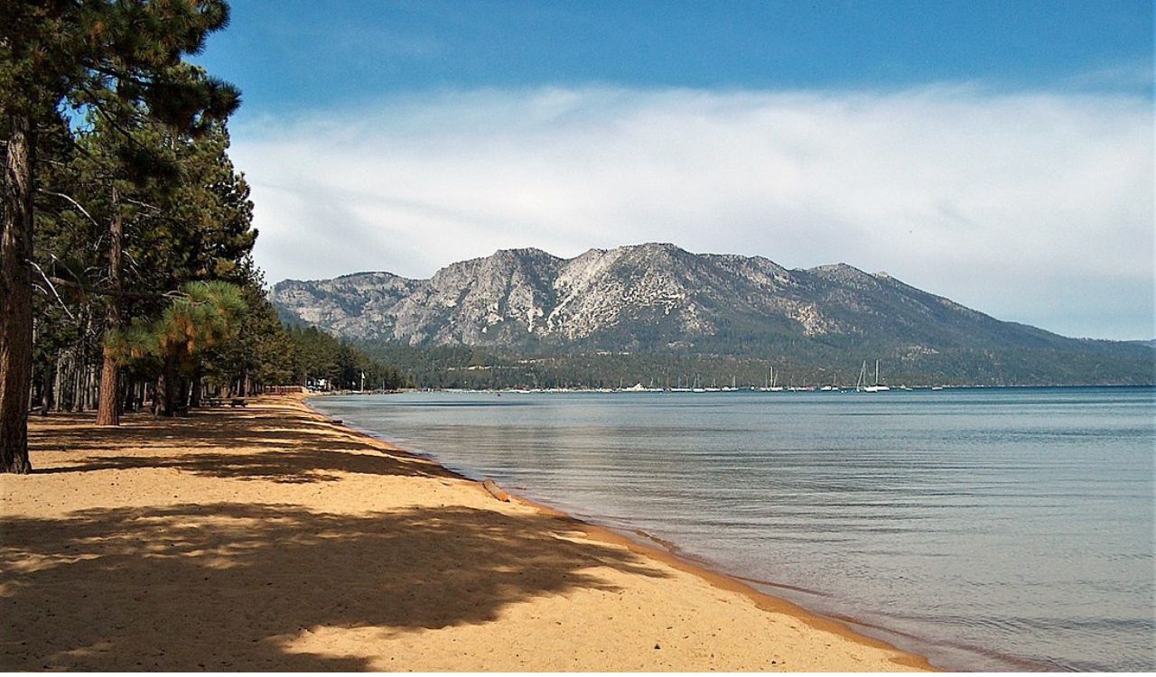 Golden sand meets calm blue waters, with pine trees lining the shore and rugged mountains rising in the background.