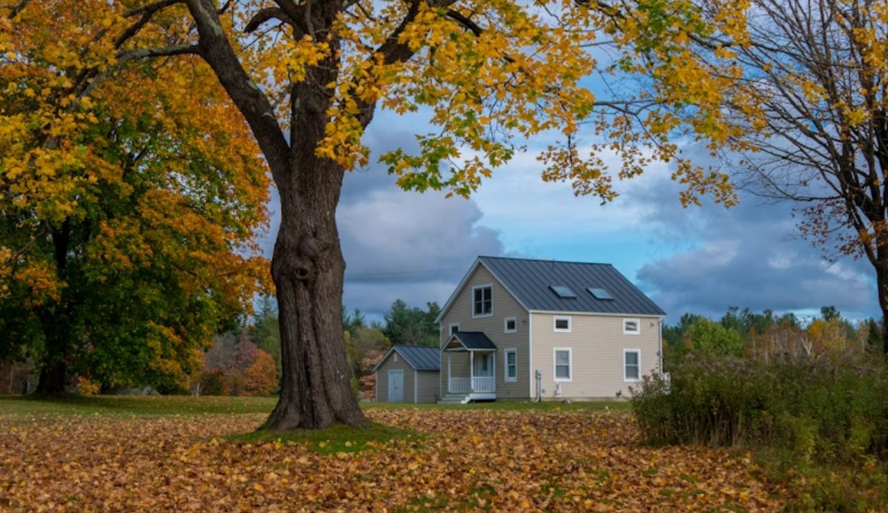 Charming beige farmhouse with a dark roof surrounded by autumn foliage, golden leaves covering the ground, and vibrant fall trees under a partly cloudy sky.