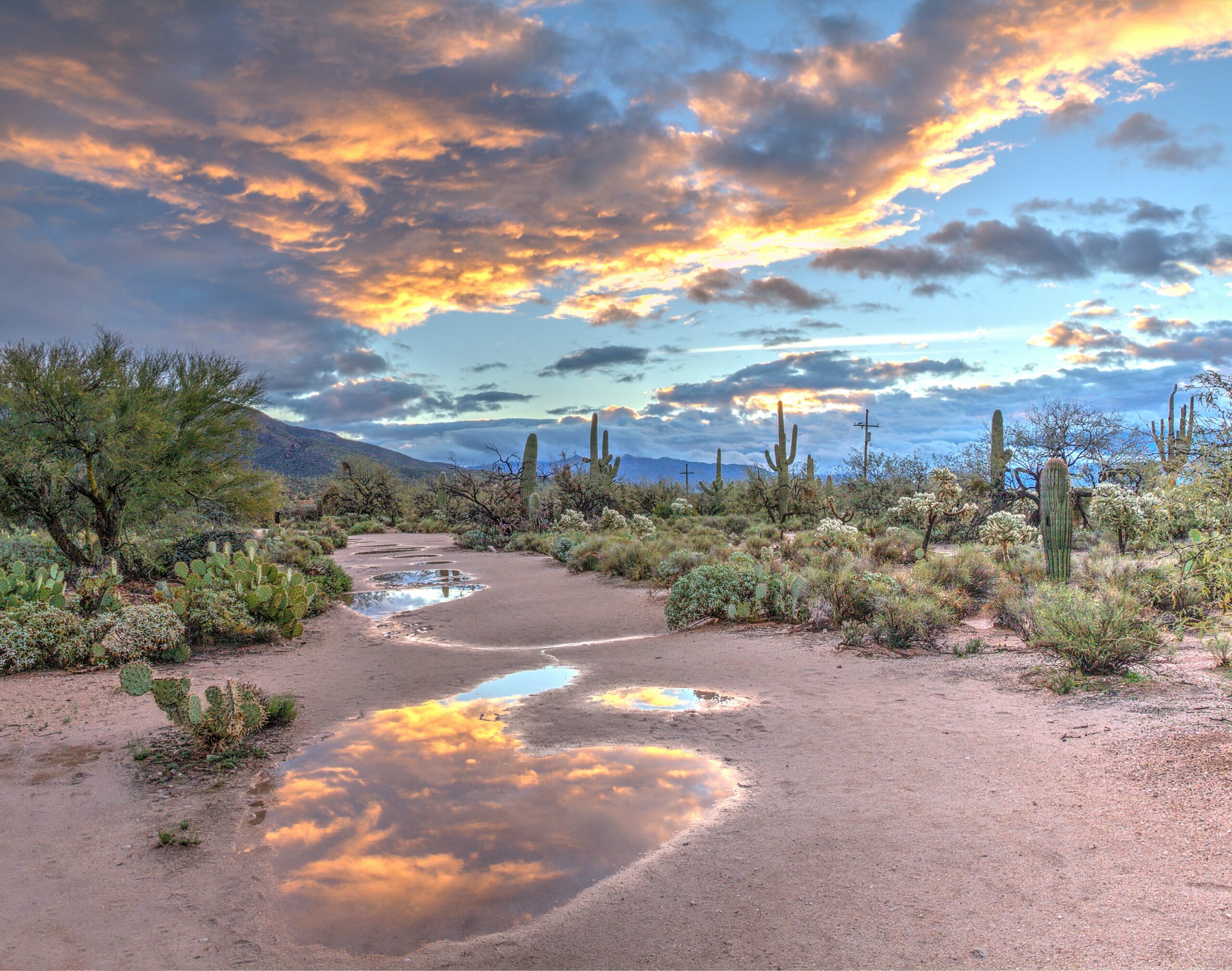 Tucson