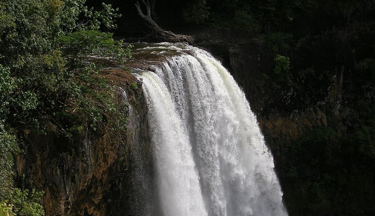 A powerful waterfall plunges over a rocky cliff, surrounded by dense greenery and shaded by overhanging trees.